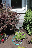 Rain Barrel 110